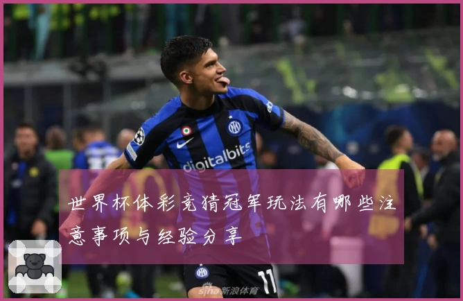 世界杯体彩竞猜冠军玩法有哪些注意事项与经验分享