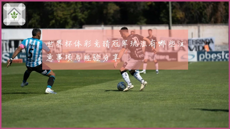 世界杯体彩竞猜冠军玩法有哪些注意事项与经验分享