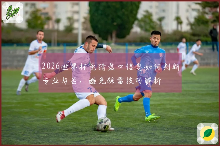 2026世界杯竞猜盘口信息如何判断专业与否，避免踩雷技巧解析